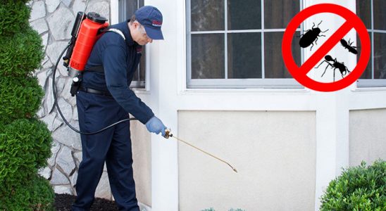 Naldöken Gümüşkurt İlaçlama böcek ilaçlama ve haşere kontrolü — ilaclama-tr.com